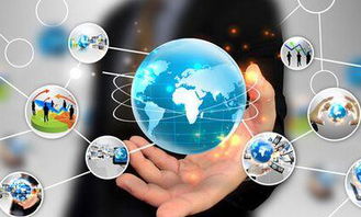 上海互联网软件集团 高端协同管理软件与信息咨询服务的卓越提供商