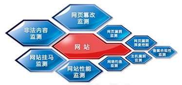 网神信息咨询服务 数字化时代的专业导航